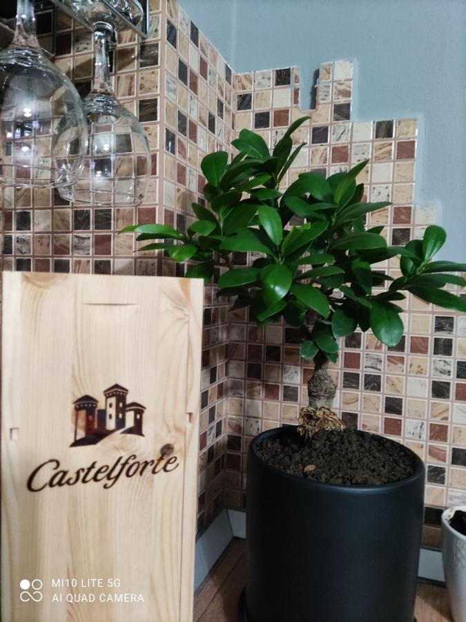 Appartement Koa 1